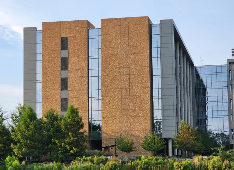 pexels-harry-thomas-3543800-17710412 (1)